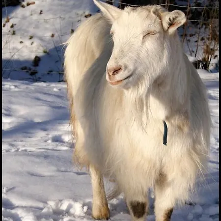 Bed and breakfast Villa Sobótka 3*