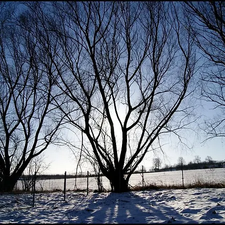 Bed and breakfast Villa Sobótka